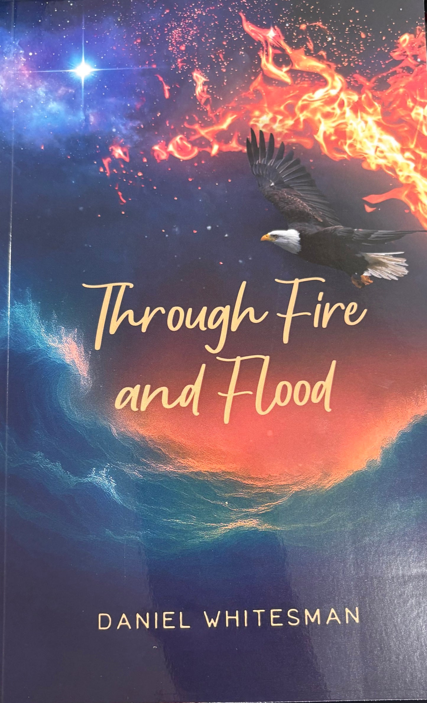Through Fire and Flood by Daniel Whitesman
