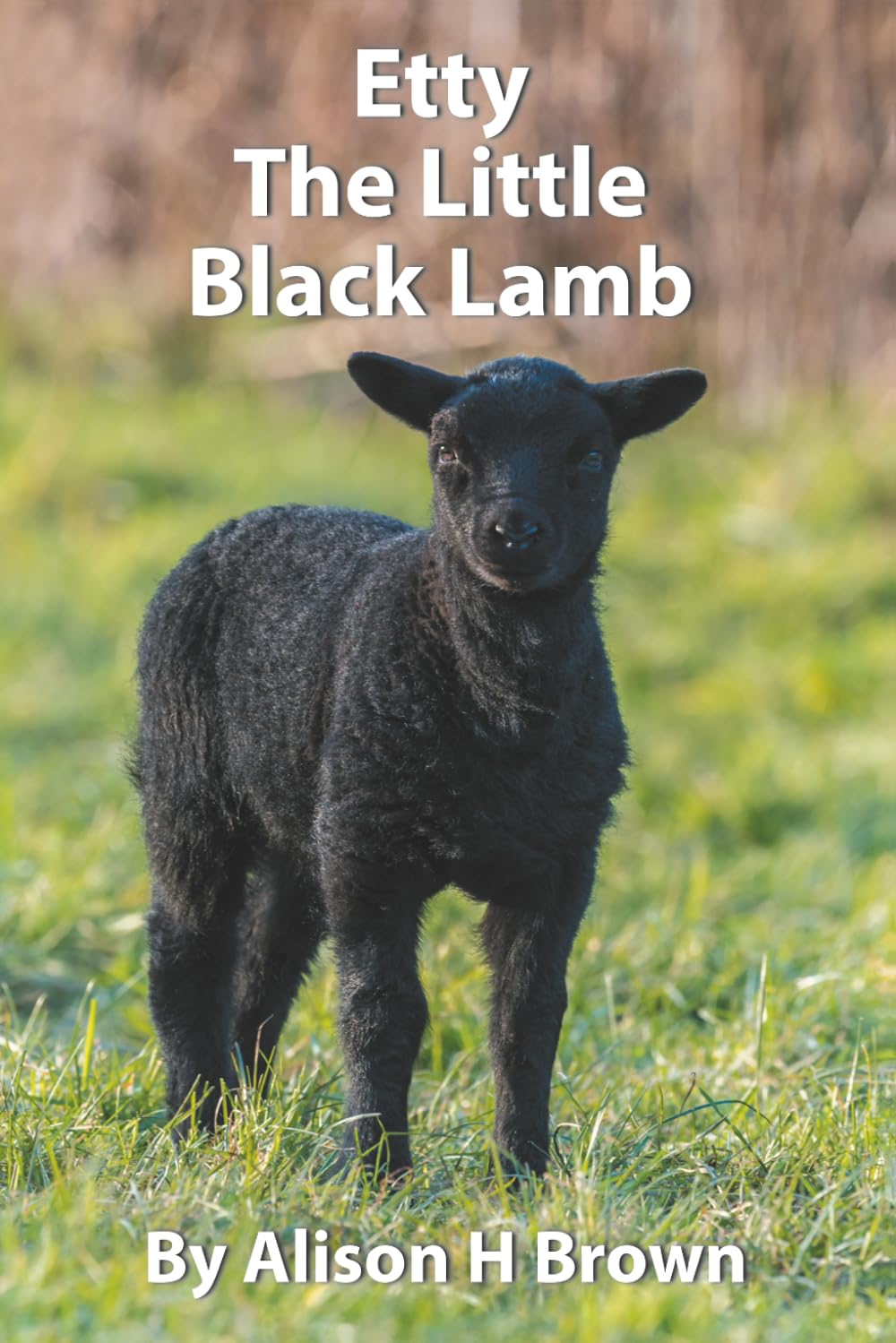 Etty The Little Black Lamb by Alison H Brown