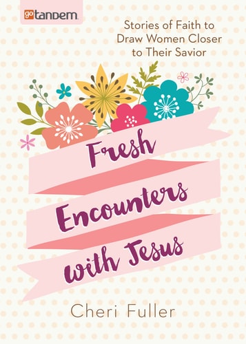 Fresh Encounters with Jesus: Stories of Faith to Draw Women Closer to Their Savior