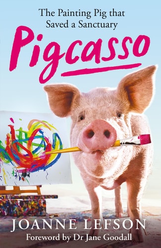 Pigcasso: The Million-dollar artistic pig that saved a sanctuary