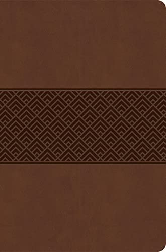 CSB Everyday Study Bible-Brown Burnished Design LeatherTouch