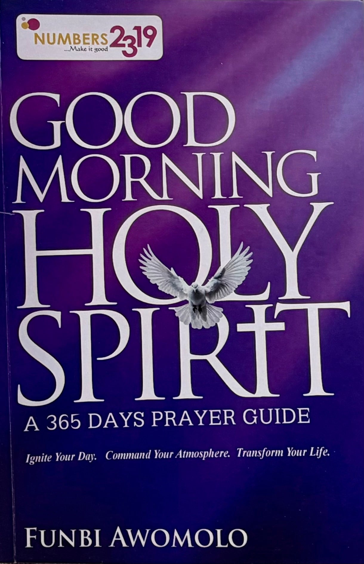 Good Morning Holy Spirit: A 365 Days Prayer Guide by Funbi Awomolo