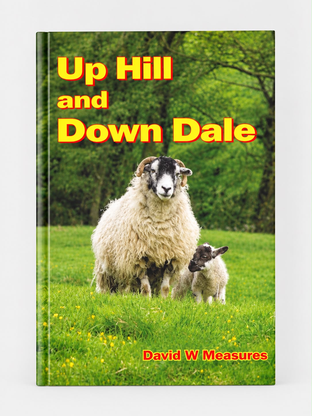 Up Hill and Down Dale By David W Measures