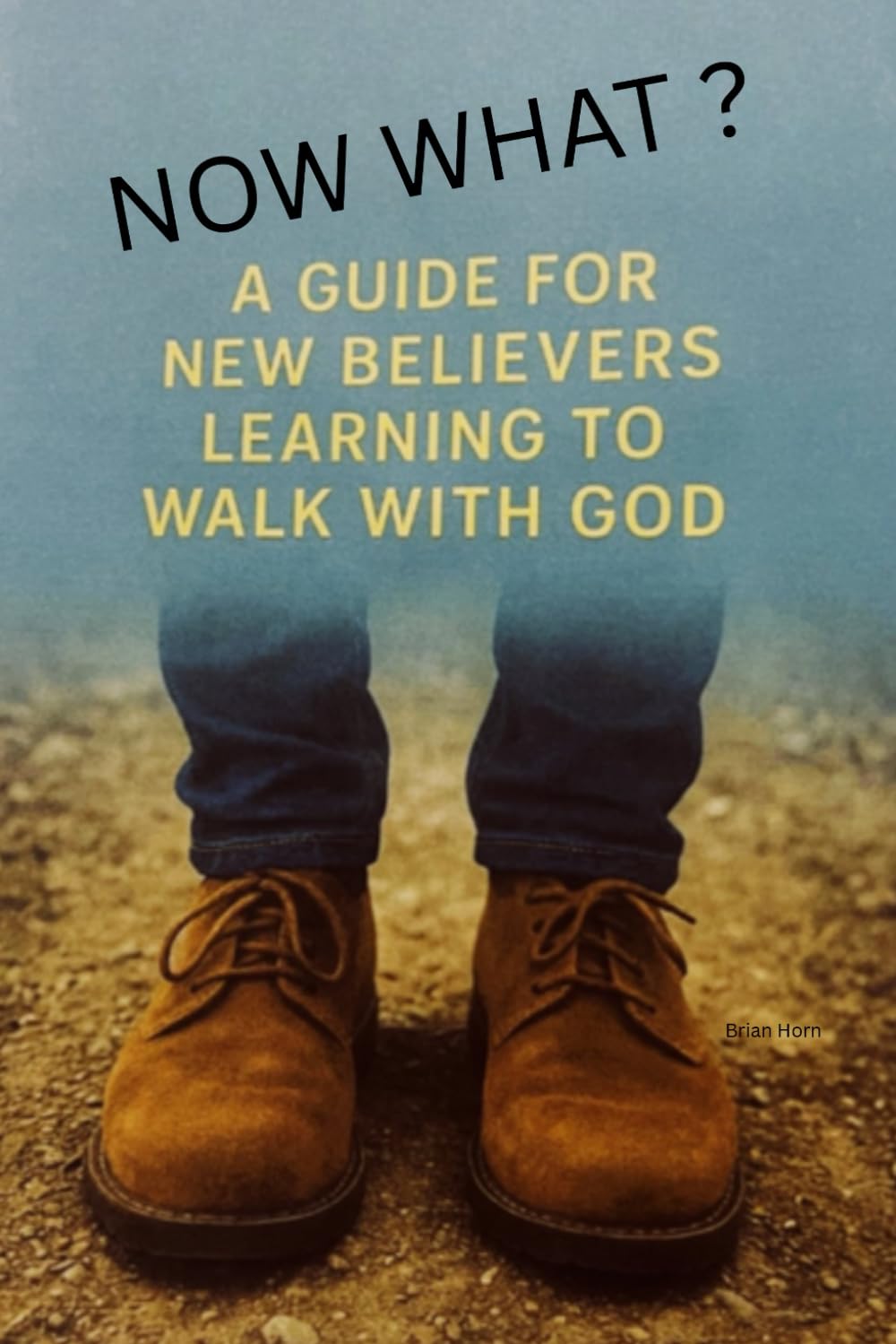 Now What?: A Guide For New Believers Learning To Walk With God by Brian Horn