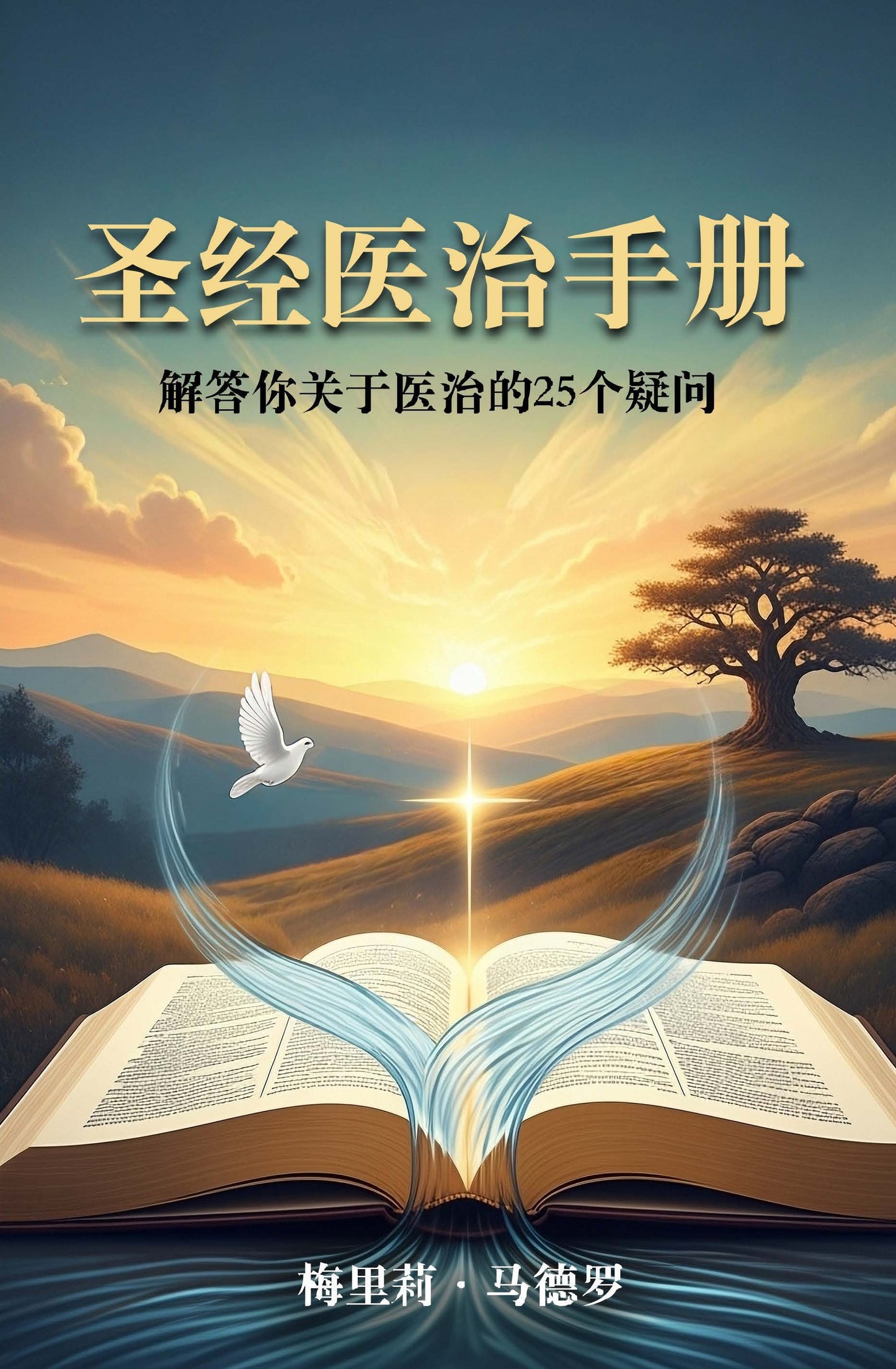 Biblical Healing Handbook Chinese Edition by Merrily Madero