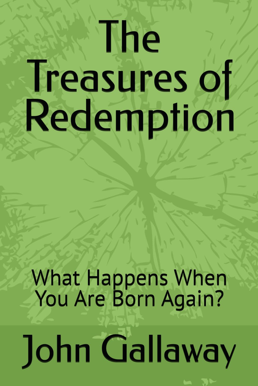 The Treasures of Redemption: What Happens When You Are Born Again? By John Gallaway
