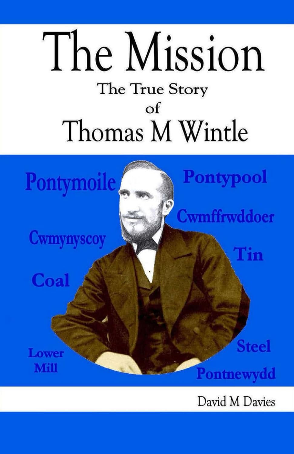 The Mission: The True Story of Thomas M Wintle by David Matthew Davies